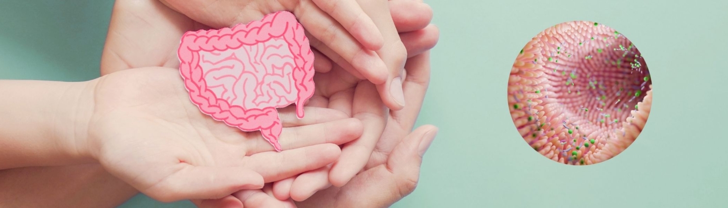darmsanierung (2200 x 600 px) (3) Mikrobiomanalyse | Darmsanierung | Darmkur | Dr. Pfundstein | München